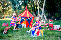Twins 2nd Circus Birthday
